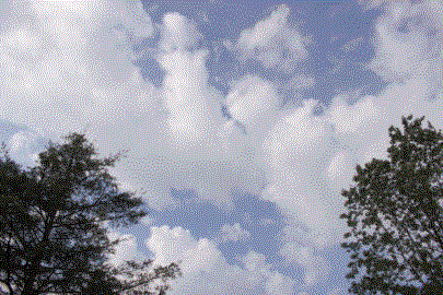 Clouds 2, own work. Depicts an interspersed, puffy cloud cover over a few trees, with an upwards perspective.